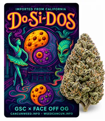 GirlScoutCookies × FACEOFF