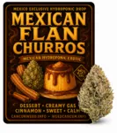 Mexican Flan Churros